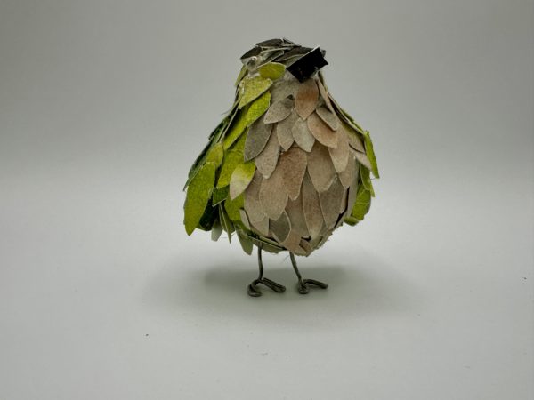 New Zealand Rifleman (Mom's Bird) - Image 2
